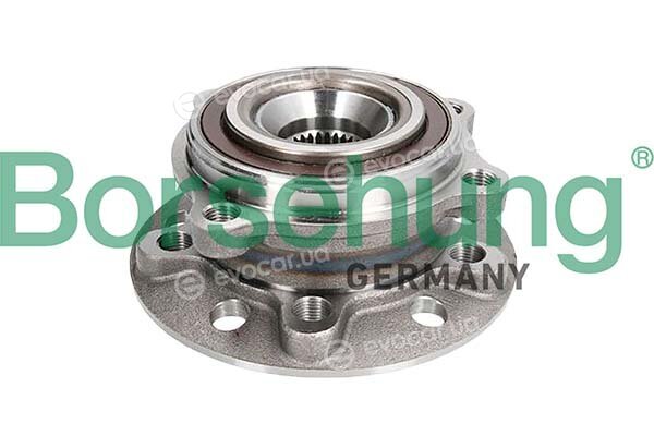 Borsehung B11715