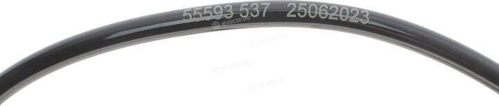 AIC 55593