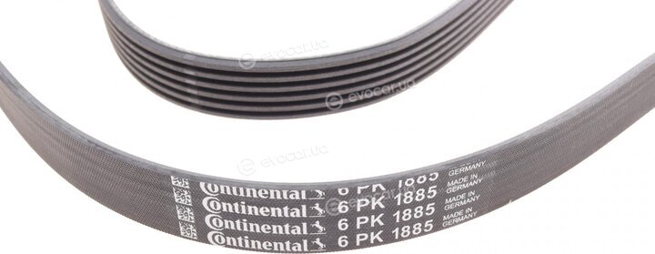 Continental 6PK1885