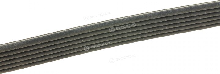 Dayco 6PK1865