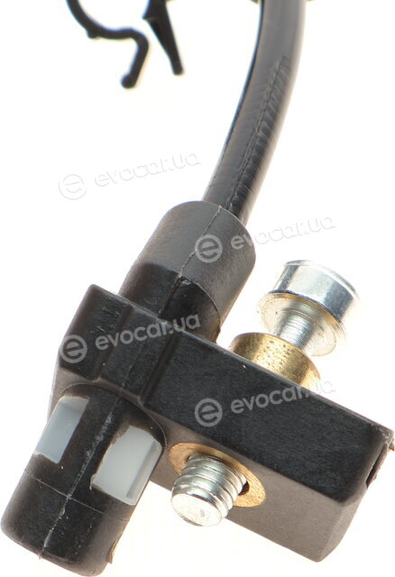 AIC 55416