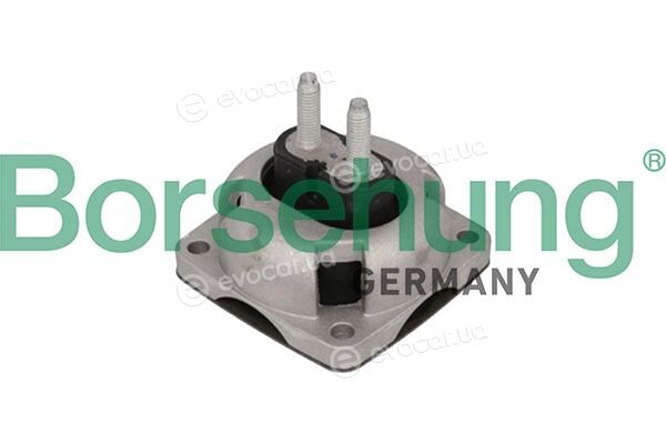 Borsehung B13036