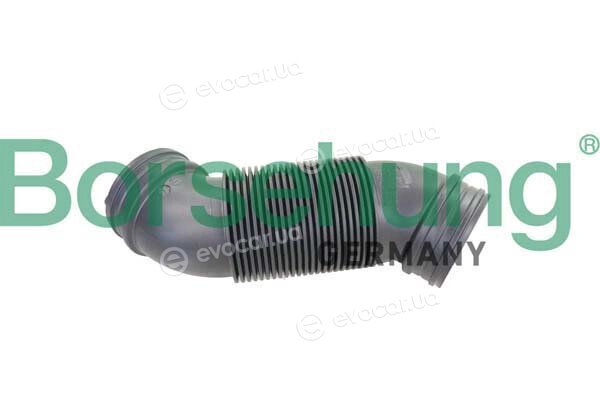 Borsehung B12323