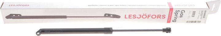 Lesjofors 8156818