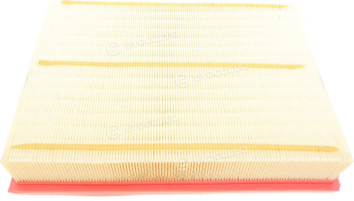Mann C 33 017