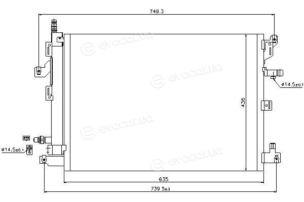 Starline 44.34.541Q