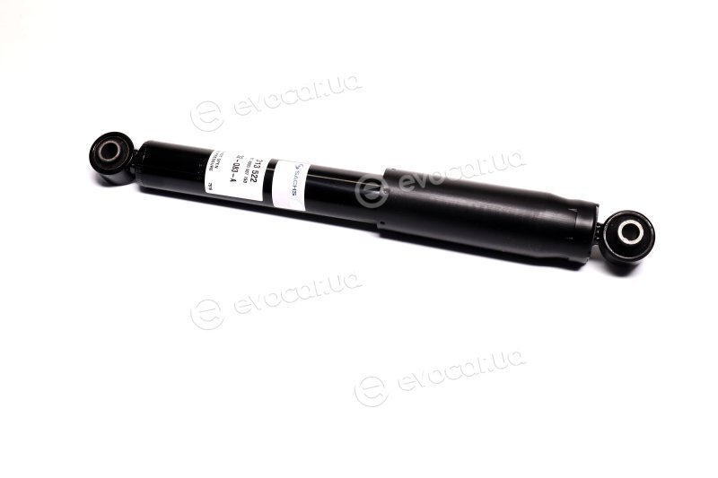 Sachs 313 522