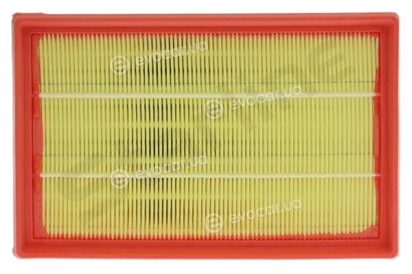 Starline SF VF7565