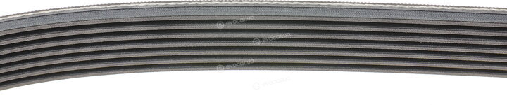 Continental 7PK2054