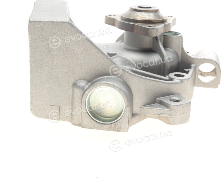 Hepu P1042