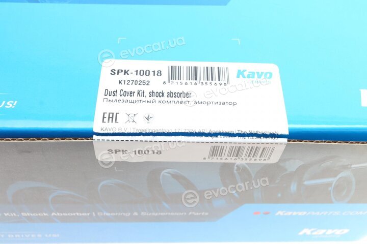 Kavo SPK-10018