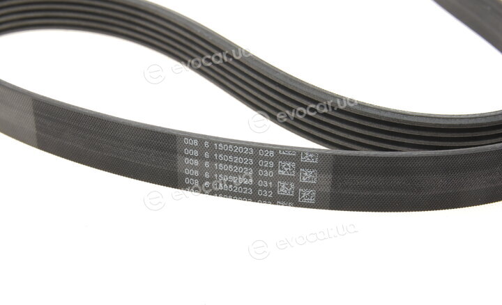 Continental 6PK1153K3