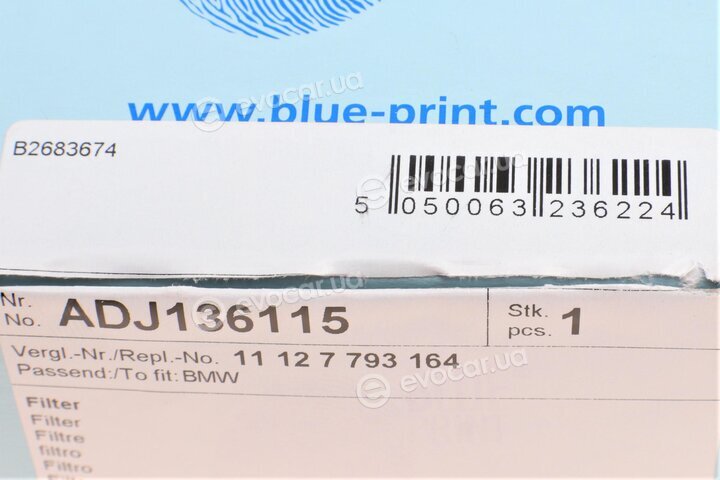 Blue Print ADJ136115