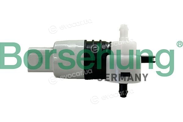 Borsehung B13194