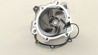 Metelli 24-1017