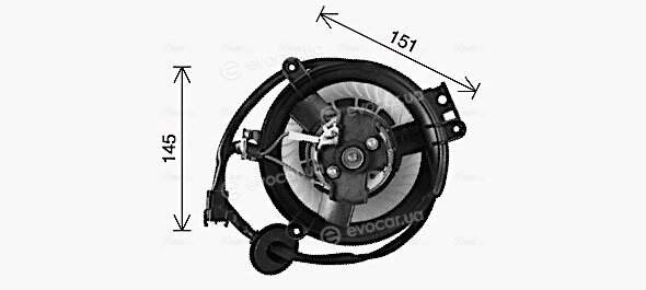 Ava Quality MS8771