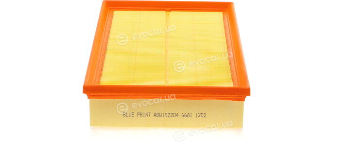 Blue Print ADW192204