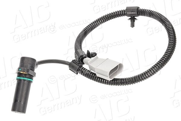 AIC 55306