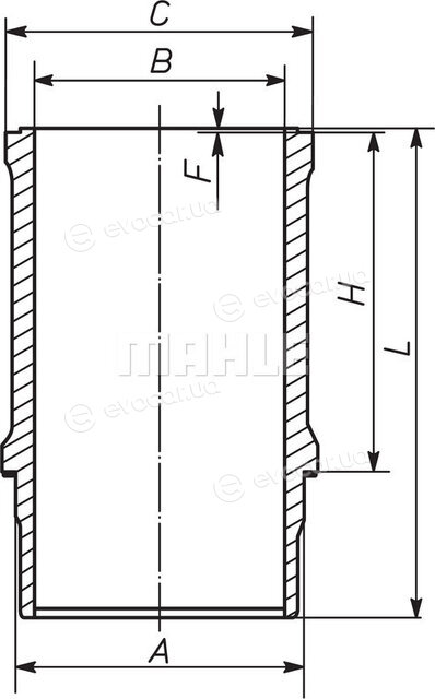 Mahle 209 WN 22 01