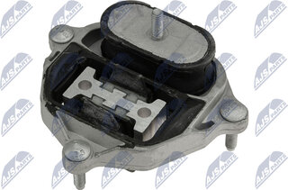 NTY ZPS-AU-001