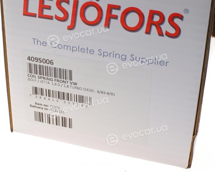 Lesjofors 4095006