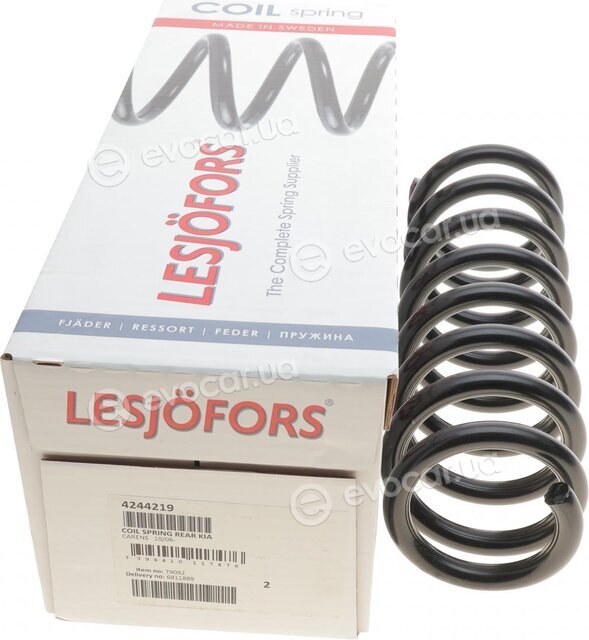 Lesjofors 4244219