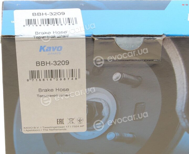 Kavo BBH-3209