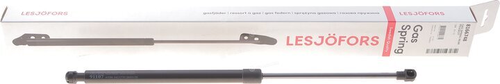 Lesjofors 8166748