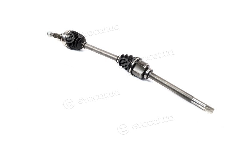 Magneti Marelli 302004190066
