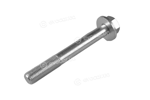 Tedgum TED45361