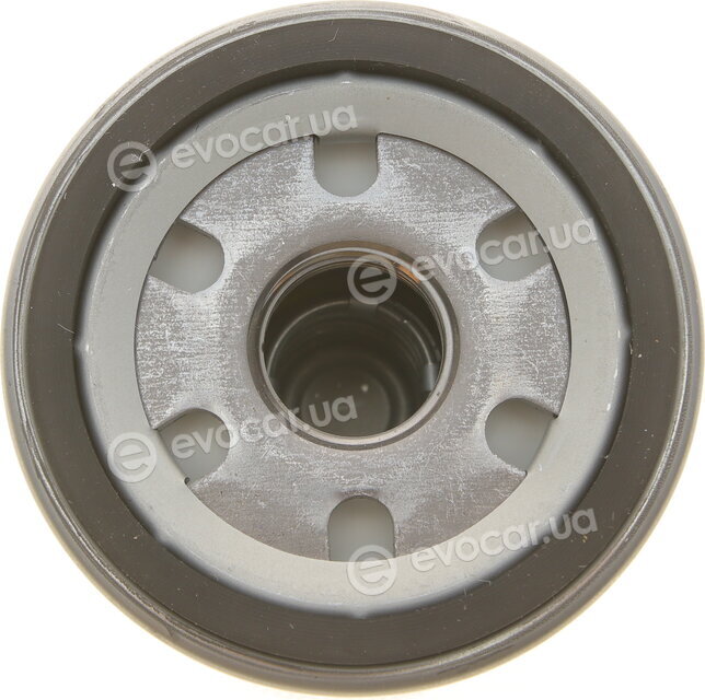 Mann W 6031