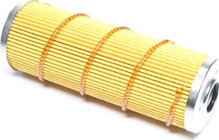 Hengst E79H