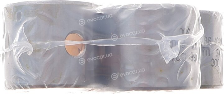 Mahle 029 BS 10265 300