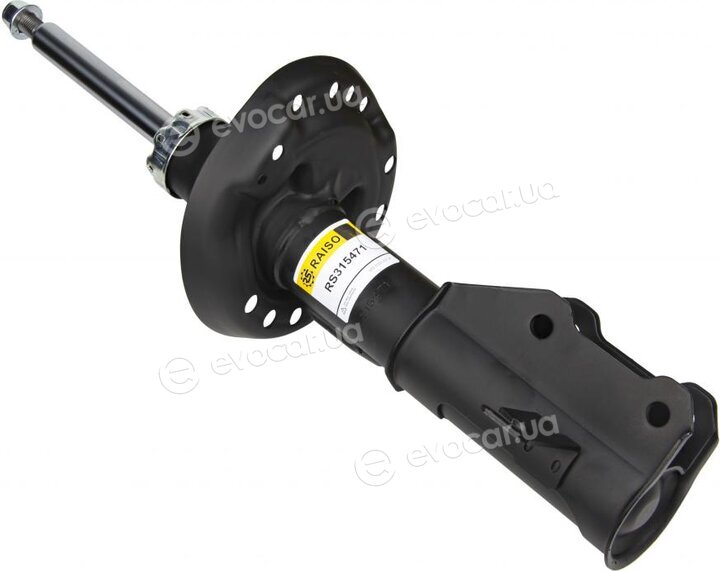 Raiso RS315471