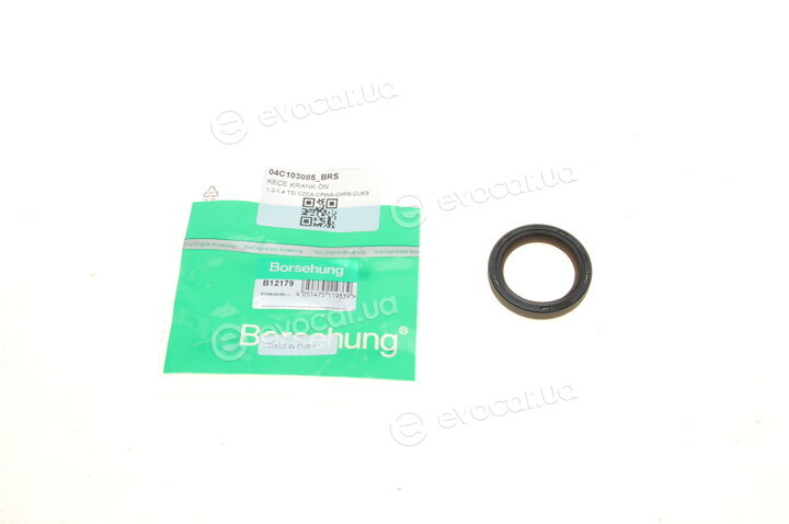 Borsehung B12179