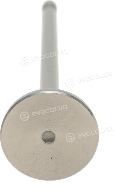 AMP PCIT081-A-0-N
