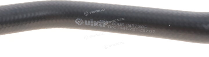 Vika 88191518701