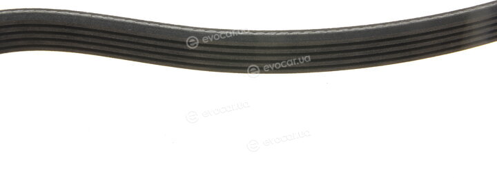Dayco 5PK2030