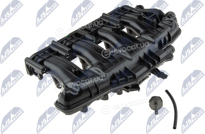 NTY BKS-VW-017