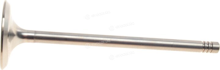 AMP PBMW018-S-0-N