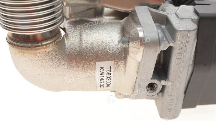 BMW / Mini 11 71 7 805 446