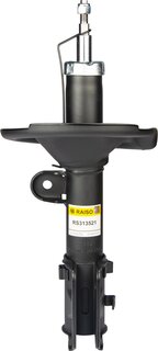 Raiso RS313521