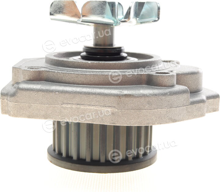 Hepu P1058