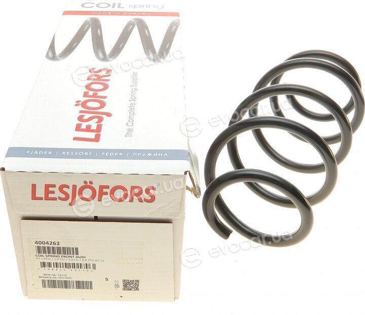 Lesjofors 4004262