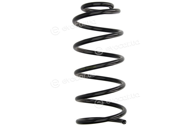 Lesjofors 4004238
