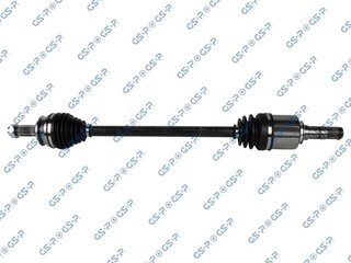 GSP 256013