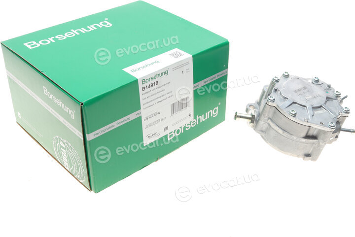 Borsehung B14919