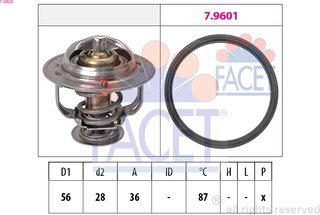 Facet 7.8828