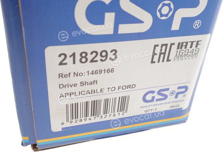 GSP 218293