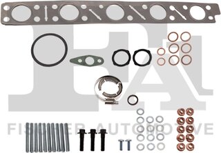 FA1 KT550220